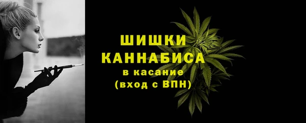 крисы Белокуриха