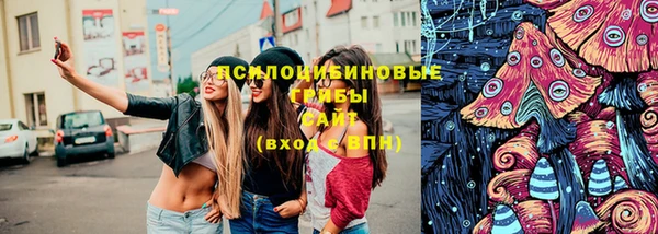 крисы Белокуриха
