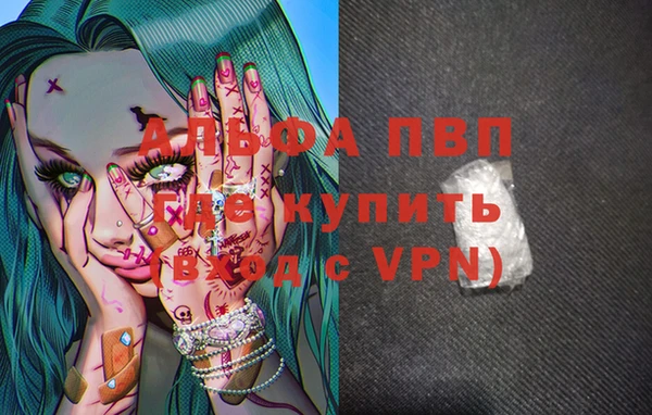 крисы Белокуриха