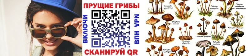гидра tor  как найти наркотики  Кремёнки  Псилоцибиновые грибы ЛСД 